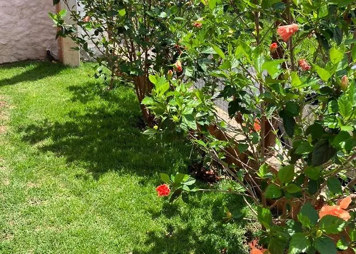 Chalé Mantiqueira
